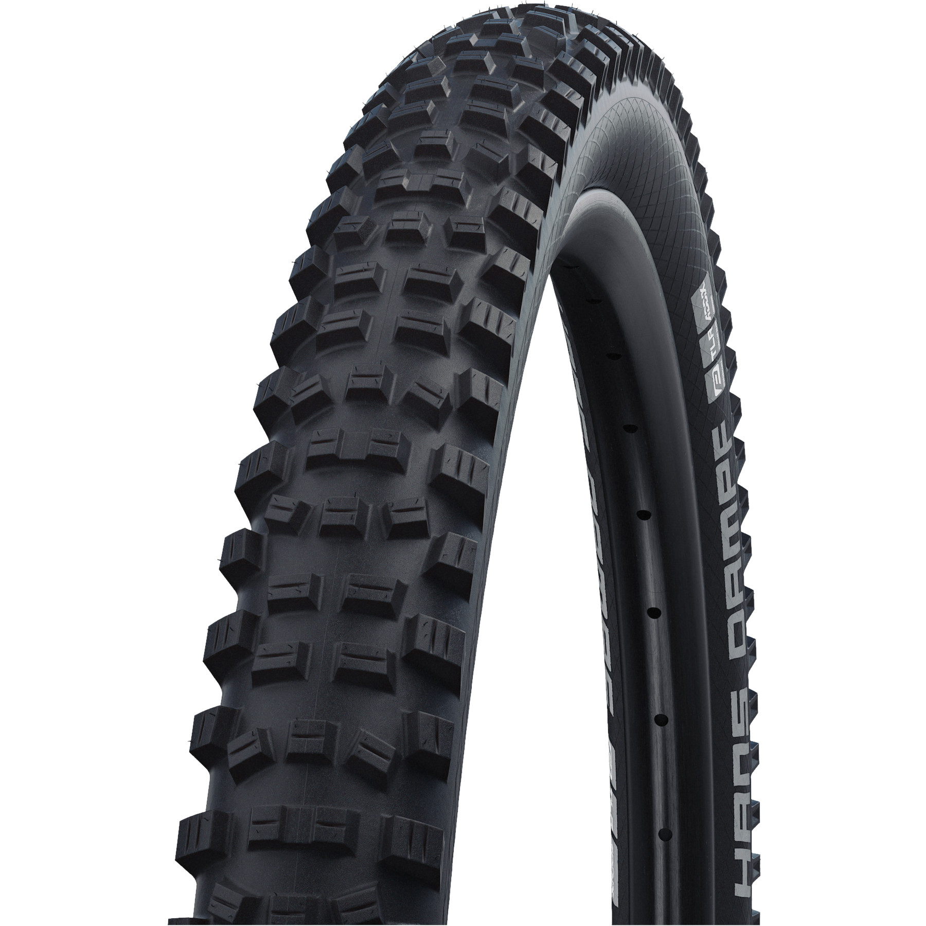 Покрышка Schwalbe Hans Dampf Performance 29"